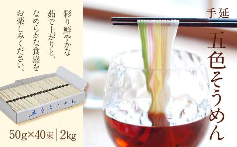 そうめん 手延五色そうめん（50ｇ×40束） T-40麺 麺類 そうめん ソーメン 素麺 カラフル 色付き 愛媛県 松山市 常温 常温便 常温配送 常温発送 長期保存可