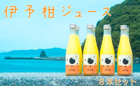 ジュース 伊予柑ジュース8本セット飲料 飲み物 ジュース 愛媛県松山市 愛媛県 松山市 愛媛 松山 常温 常温便 常温配送 常温発送
