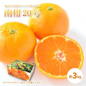 【先行予約】【 2025年12月中旬から発送予定 】 温州みかん 「 南柑20号 」＜ 秀品 ＞ 約3kg 【 ギフトBOX 入り 】