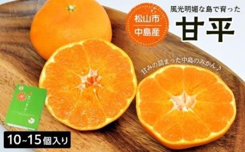 【発送は1月下旬から】 松山市中島産 甘平 L～3Lサイズ