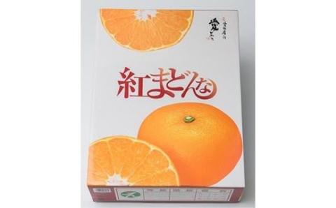 【11月下旬から発送】  紅まどんな【JAえひめ中央】青秀 3Lから4Lサイズ 大玉 化粧箱