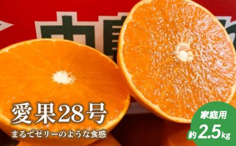 【先行予約12月上旬頃より発送】 愛果28号 約2.5kg 家庭用 | 12月発送 紅まどんな と同様 みかん 柑橘 愛果28号 あいか 果物 フルーツ 松山市 愛媛県 田村農園 柑橘 くだもの フルーツ おすすめ 高級 人気 お取り寄せ グルメ ギフト 期間限定 数量限定 愛媛県 松山市