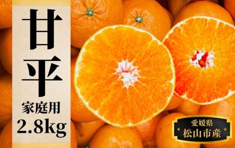 【甘平】約2.8ｋｇ（ご家庭用）＜2月頃発送 ＞ みかん ブランド 柑橘 フルーツ 果物 愛媛 松山