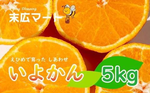 【2026年1月下旬ごろ順次発送】 伊予柑 いよかん 約 5kg 愛媛 興居島 柑橘 糖度 別名 宮内伊予柑