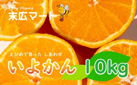 【2026年1月下旬ごろ順次発送】 伊予柑 いよかん 約 10kg 愛媛 興居島 柑橘 糖度 別名 宮内伊予柑