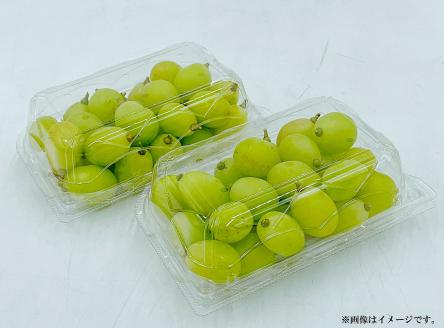 【先行予約】 シャインマスカット 350ｇ入り 2パック