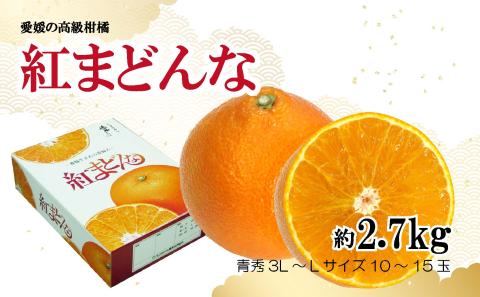 【12月から発送】紅まどんな 約2.7kg 青秀 L～3Lサイズ（ 10 ～15玉 ） 愛媛県産 みかん 柑橘 オレンジ フルーツ 果物 愛果28号 新鮮 愛媛県 松山市
