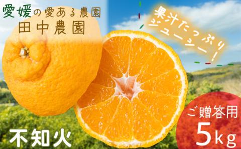 不知火（しらぬい）約5kg  ご贈答用 【2月下旬から順次発送】デコポンと同品種 贈答用5kg