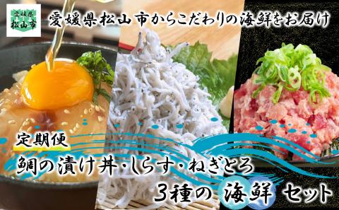 【定期便】松山海鮮セット 鯛の漬け丼 しらす ねぎとろ 愛媛県 松山市 海鮮 魚介 新鮮ねぎとろ,まぐろ,ねぎとろ