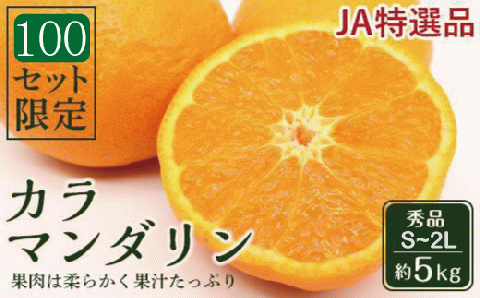 【先行受付】JAえひめ中央 ☆100セット限定☆JA特選品 カラマンダリン 秀品 S～2L 約5kg 数量限定 おすすめ 人気