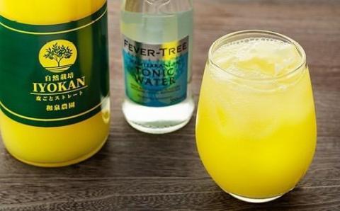 【2026年1月中旬より発送】【自然栽培】宮内伊予柑 皮ごとストレート720ml2本・トニックウォーター200ml2本セット 果汁100％ ジュース 愛媛県産 ノンアルコール