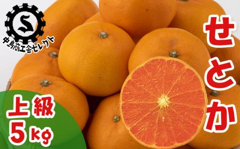【2025年3月から発送】 せとか 5kg  上級