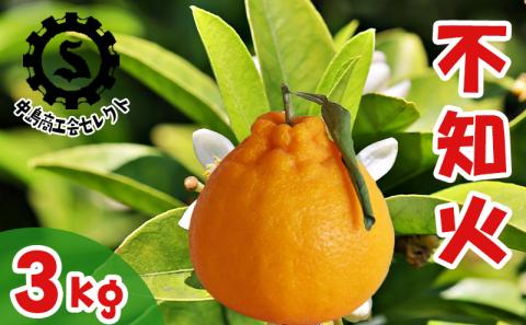 【2025年3月から発送】不知火 しらぬい （デコポンと同品種） 3kg  良品