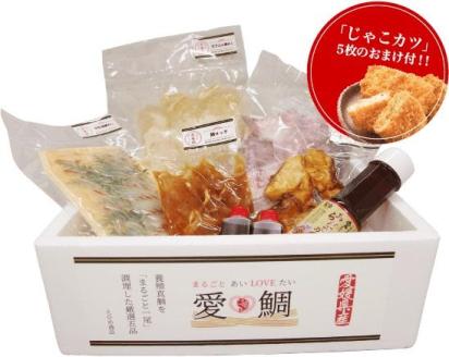 愛媛県産 ご当地『鯛グルメ』まるごと愛LOVE鯛２～３人前＆じゃこカツ5枚付