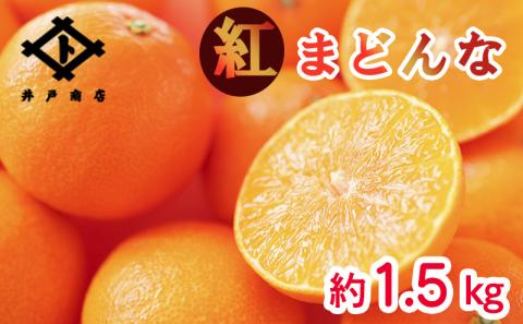 ★★★150箱限定★★★【11月下旬から発送】【紅まどんな】◯等級 Lから2L 約1.5kg