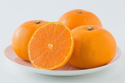 【発送は3月上旬から】 松山市中島産 せとか 無地 L～3L 5kg