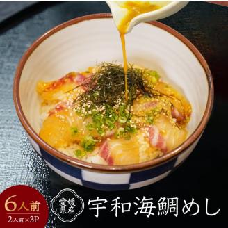 愛媛県産 宇和海鯛めし 2人前 × 3パック ( 6人前 )  宇和島風 鯛めし 愛媛 松山 グルメ 魚 鯛 ごはん