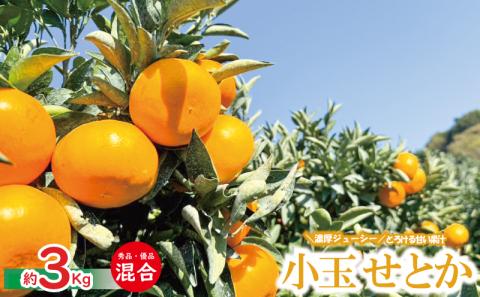 【愛媛県産】柑橘の大トロ せとか 小玉 S-SSサイズ 秀品優品混合 約3kg ＜2月下旬～発送予定＞ 柑橘 みかん 果物 くだもの フルーツ おすすめ 高級 人気 数量限定 愛媛県 松山市