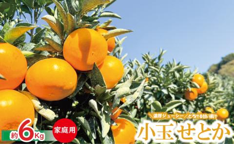 【愛媛県産】柑橘の大トロ せとか 小玉 S-SSサイズ 家庭用 約6kg ＜2月下旬～発送予定＞ 柑橘 みかん 果物 くだもの フルーツ おすすめ 高級 人気 数量限定 愛媛県 松山市