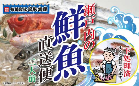 【嶋矢水産】 瀬戸内の鮮魚 直送便 下処理済み 産地直送 10000円 台 二人前 刺身 煮魚 焼き魚 瀬戸内海 愛媛 松山 老舗 魚 人気