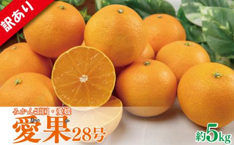 【12月中旬から発送】訳あり 家庭用 愛果28号 約5kg  ( 訳あり あいか みかん 柑橘 松山 愛媛県) 約5kg