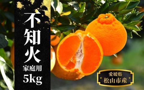 【不知火】家庭用 約5kg ＜2026年2月末～4月頭頃発送＞