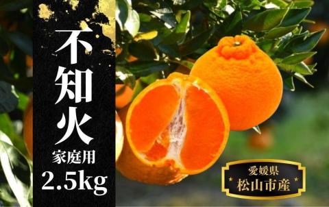 【不知火】家庭用 約2.5kg ＜2026年2月末～4月頭頃発送＞
