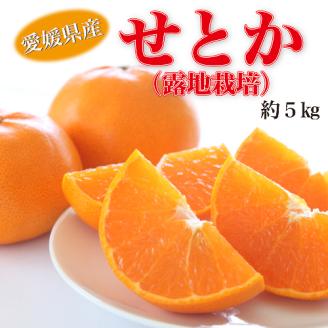 【2月から発送】愛媛県産せとか（露地）約5kg  秀 2L～M サイズ【高島屋選定品】 フルーツ 果物 みかん オレンジ 柑橘 せとか 愛媛県 松山市 秀品