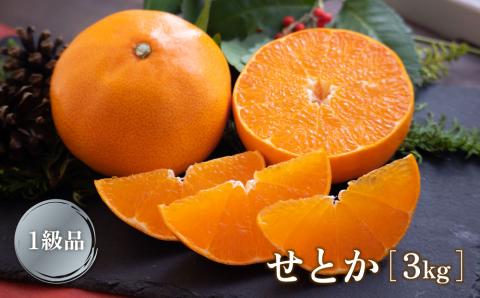 【2月下旬より発送】 せとか 3kg 【1級品】| 柑橘 みかん せとか 果物 愛媛県 松山市 田村農園 【TMN017】