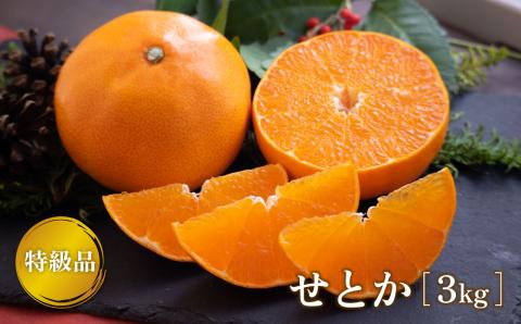 【2月下旬より発送】 せとか 3kg 【特級品】 みかん 柑橘 果物 フルーツ 松山市 愛媛県 おすすめ人気