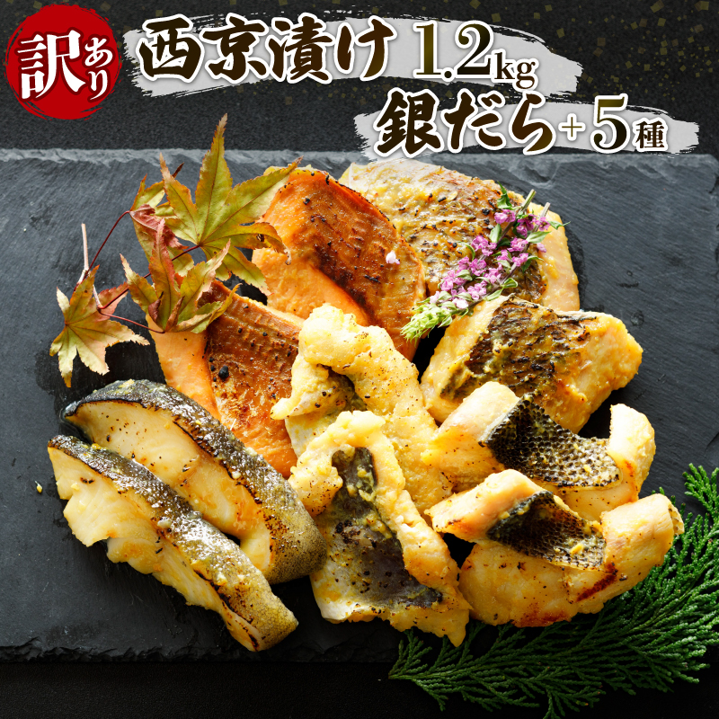 訳あり 西京漬け 6種セット 銀だら西京漬け 鮭西京漬け ハモ西京漬け 真鯛西京漬け 鯖西京漬け