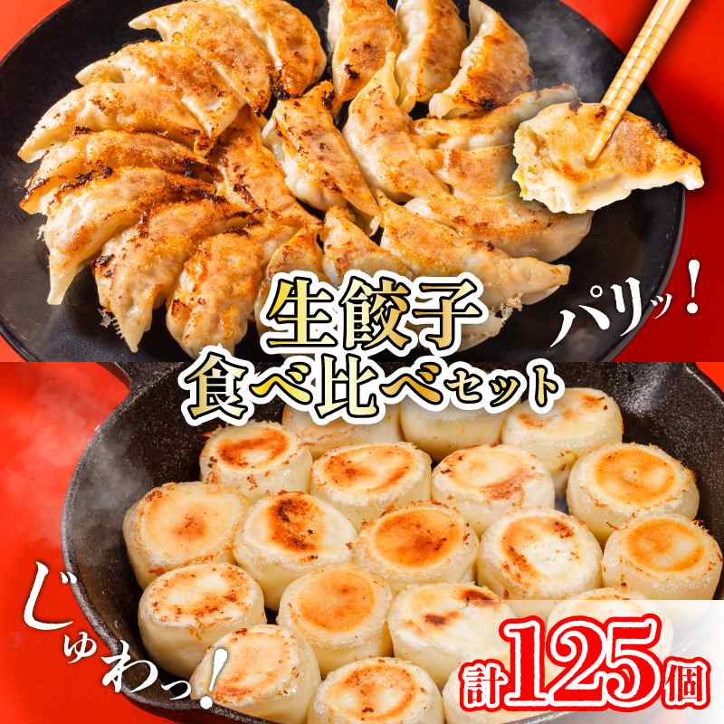 えひめの美味しい厳選餃子 あさの生餃子 もち〇生餃子 セット【5パック 計125個】