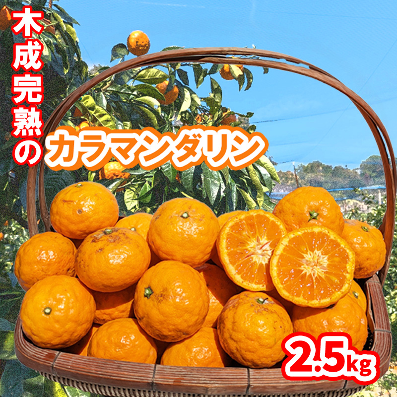 【5月から発送】春 みかん カラマンダリン 家庭用 2.5kg｜みかん 蜜柑 旬 わけあり 訳あり 甘い 柑橘 果物 フルーツ 糖度 愛媛 松山 2.5kg