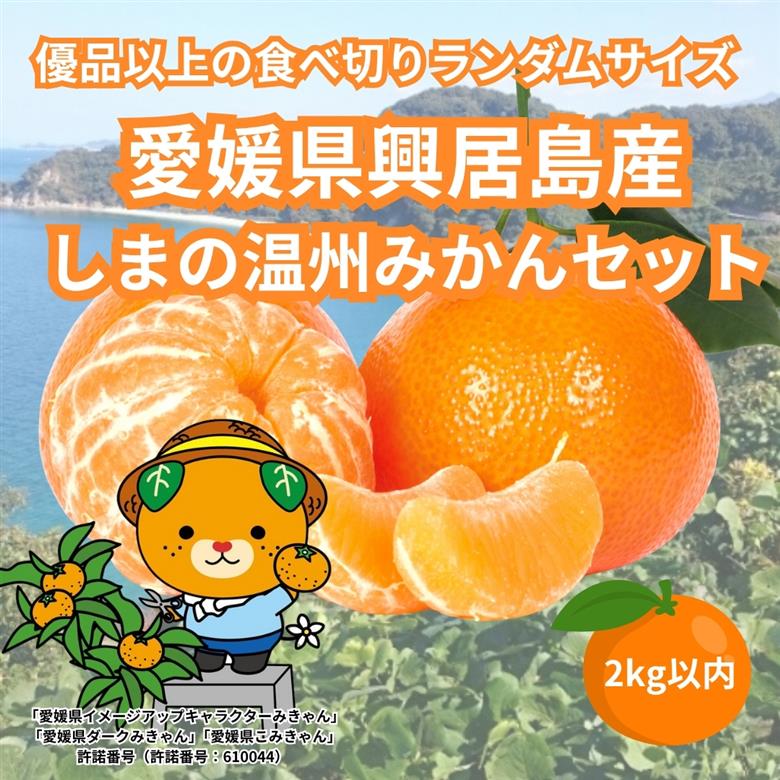 【先行予約】 温州みかん 2kg 興居島産 ランダムサイズ 優品以上 愛媛産 愛媛県産 国産 愛媛みかん 愛媛蜜柑 愛媛ミカン みかん ミカン mikan 蜜柑 柑橘 フルーツ 果物 くだもの お取り寄せ 産地直送 数量限定 人気 おすすめ 愛媛県 松山市