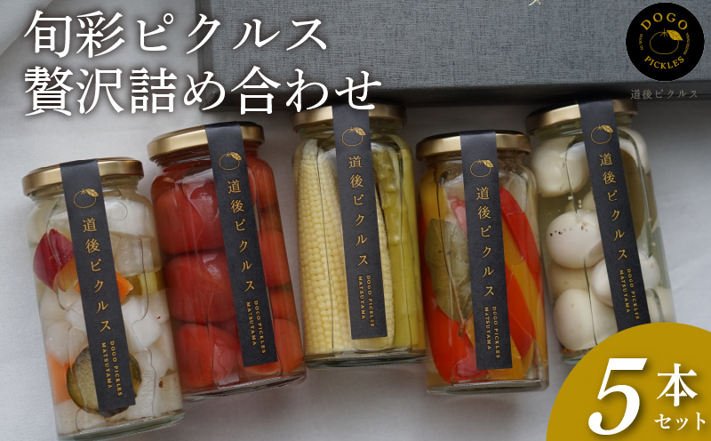 旬彩ピクルス 贅沢詰め合わせ 5本セット | ピクルス 野菜 旬の野菜 季節野菜 ぴくるす セット 詰め合わせ 愛媛県 松山市