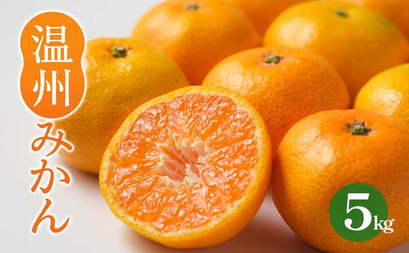 温州みかん 約5kg【2025年11月から順次発送】えひめみかん 愛媛みかん 温州みかん ミカン 柑橘 蜜柑 フルーツ くだもの 果実 松山市 愛媛県 数量限定