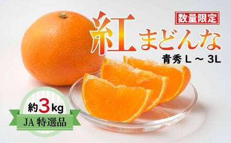 【先行受付】JA特選品 紅まどんな（青秀L～3L 約3kg）