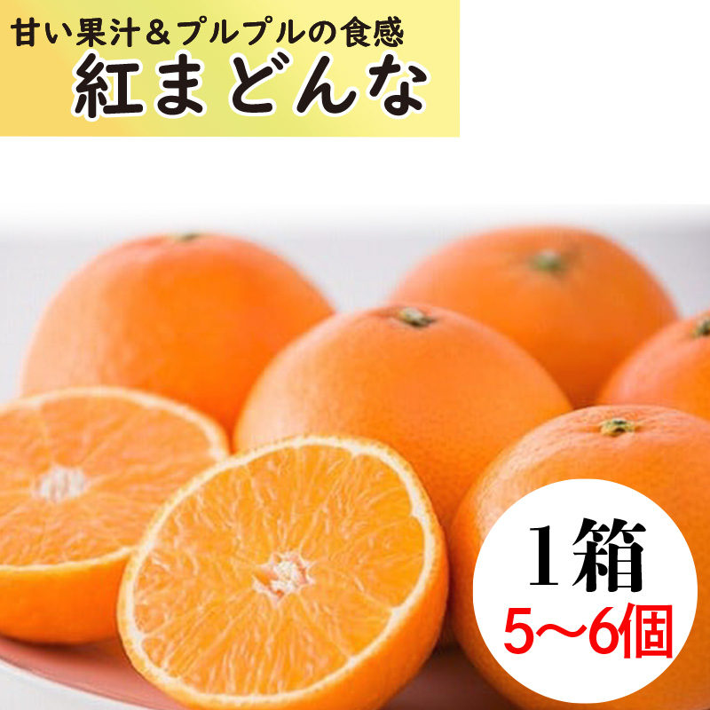【11月下旬から発送】  紅まどんな1箱（5から6個入り）