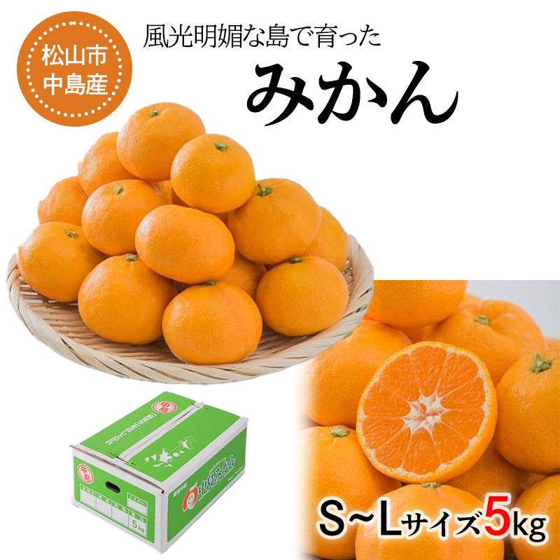 【発送は11月中旬から】 中島産 みかん S～L サイズ 5kg