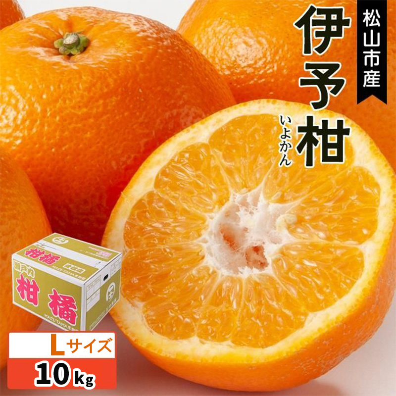 【発送は1月中旬から】 松山市産 伊予柑 秀品 Lサイズ（10kg）【FA0231】