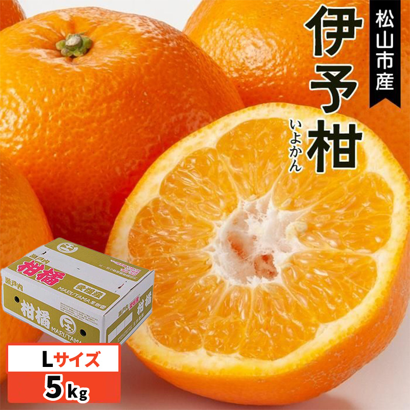 【発送は1月中旬から】 松山市産 伊予柑 秀品 Lサイズ（5kg）愛媛産 国産 愛媛みかん 愛媛蜜柑 愛媛ミカン みかん ミカン mikan 蜜柑 柑橘 フルーツ 果物 くだもの お取り寄せ 産地直送 数量限定 人気 おすすめ 愛媛県 松山市 フジ・アグリフーズ【FA0251】