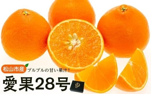 【発送は11月下旬から】 松山市産 愛果28号 L～3L