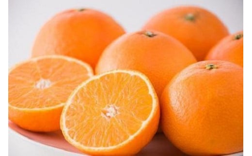 【11月下旬から発送】  紅まどんな M ~4L 5kg [ご家庭用]