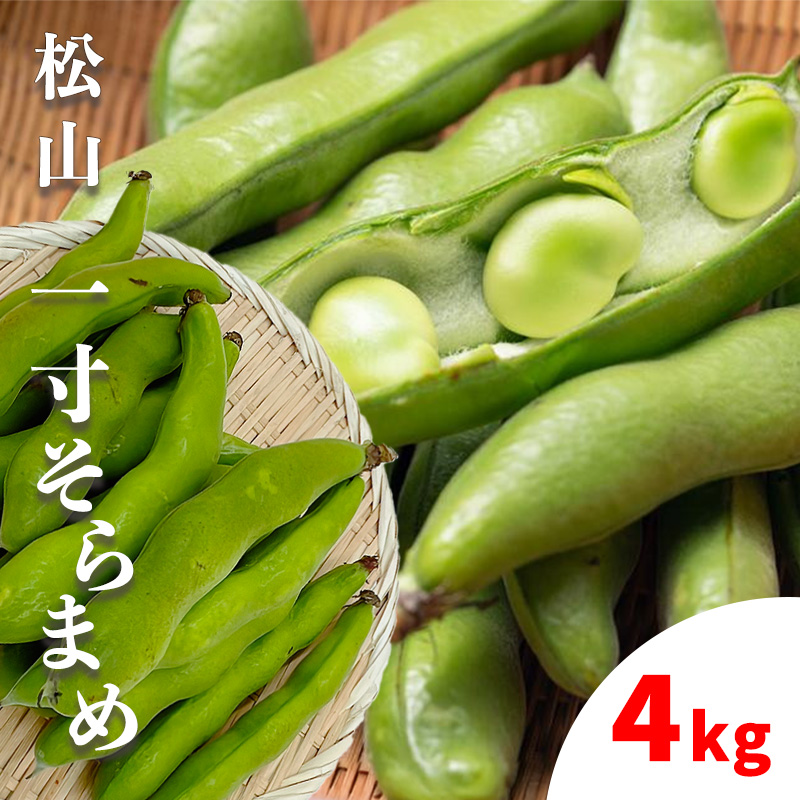 【先行予約】【4月下旬から発送】 ＜松山ブランド＞松山一寸そらまめ 4kg （ 春野菜 ソラマメ そら豆 空豆 産地直送 期間限定 愛媛 松山 フジ・アクリフーズ ） 4kg