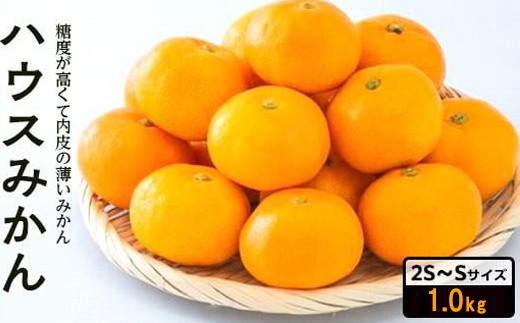 【先行予約】 8月下旬から発送 ハウスみかん 2SからSサイズ 1.0kg （愛媛県産 みかん 蜜柑 オレンジ 柑橘 果物 フルーツ 家庭用 お取り寄せ おすすめ 愛媛県 松山市 ） 1kg