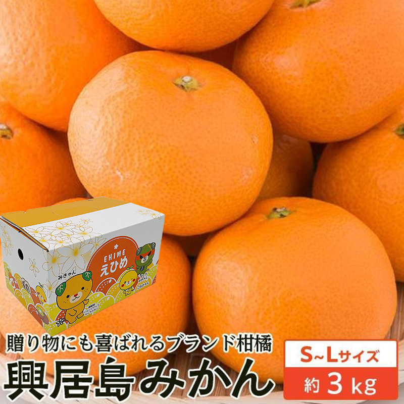 【2025年11月下旬から発送】興居島 みかん S～L サイズ（約3kg）