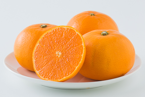 【発送は3月上旬から】 松山市中島産 せとか 秀品　M～L 5kg