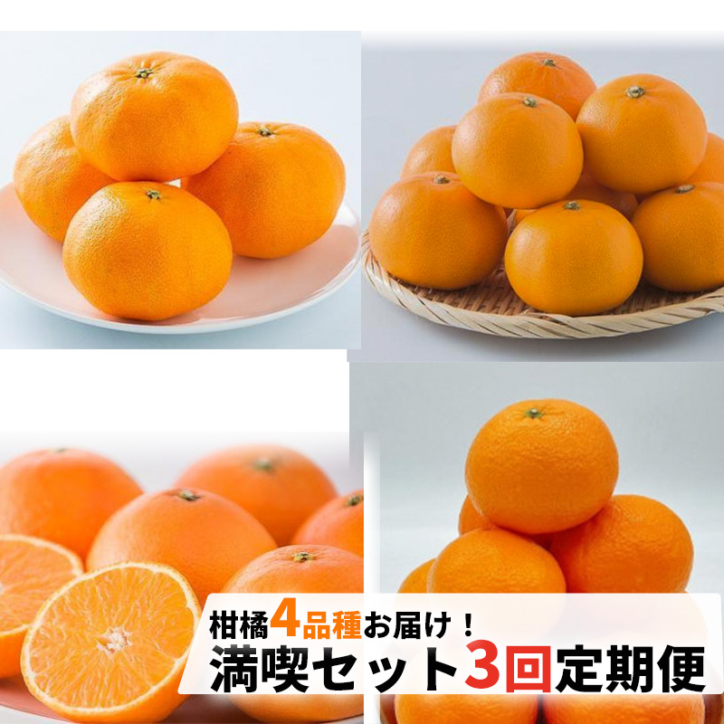 柑橘4品種お届け！満喫セット 3回 定期便 （ 紅まどんな / 甘平 / せとか ）
