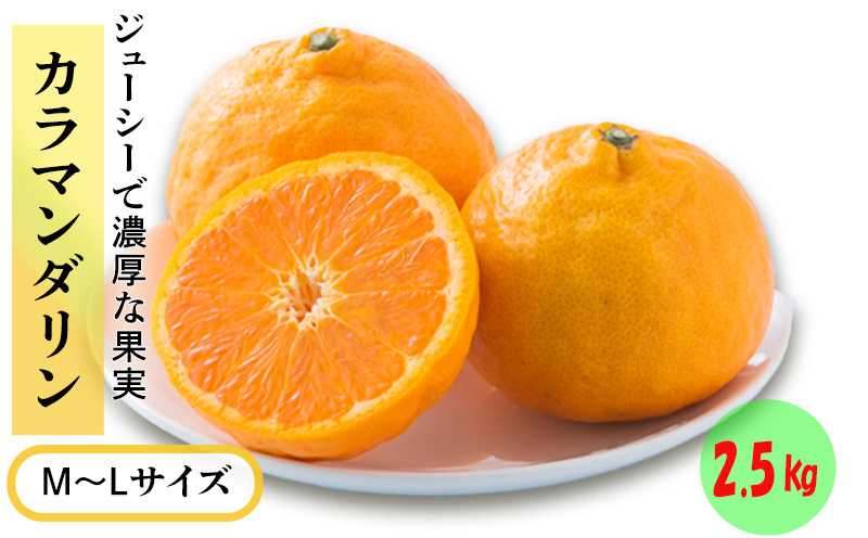 ★発送は4月下旬～★ カラマンダリン 2.5kg（MからLサイズ） 2.5kg