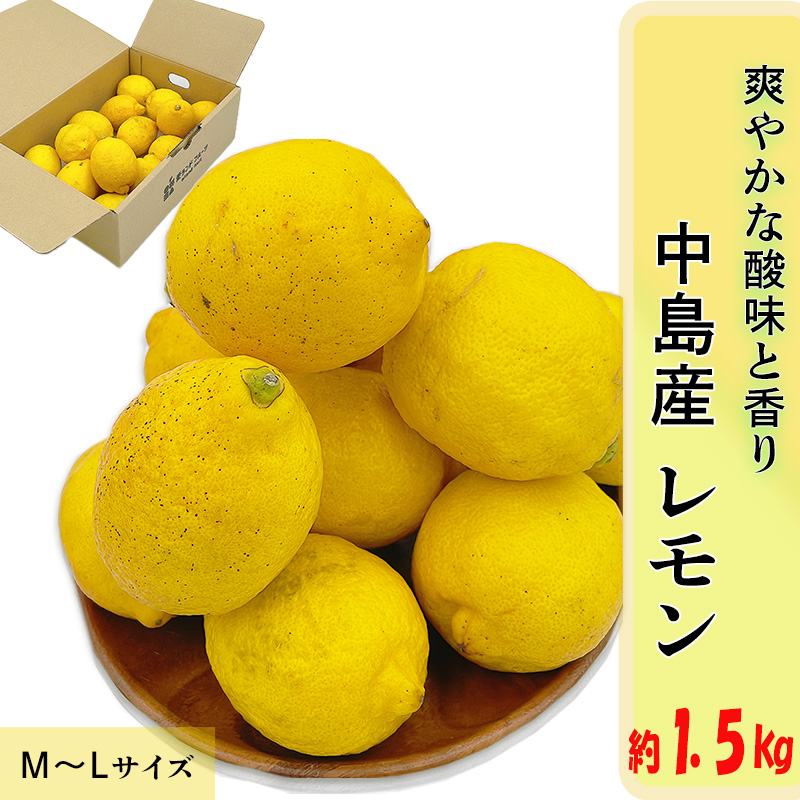 【11月上旬より発送】中島産 レモン M から L サイズ 約1.5kg